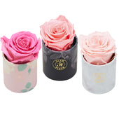 Uno Bundle Pink