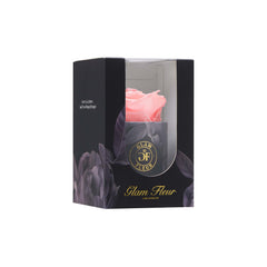 Uno Bundle Pink