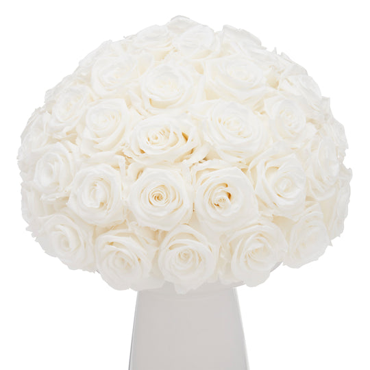 Ivoire Grande Le Luxe White