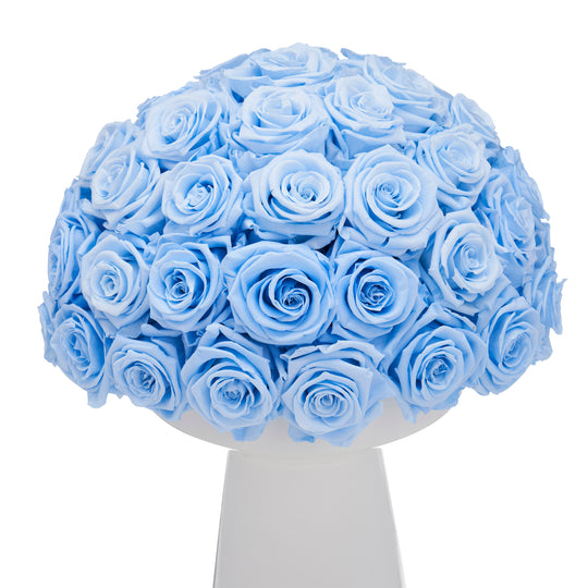 Ivoire Grande Le Luxe Baby Blue