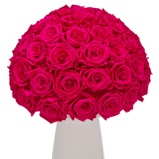 Ivoire Grande Le Luxe Fuchsia