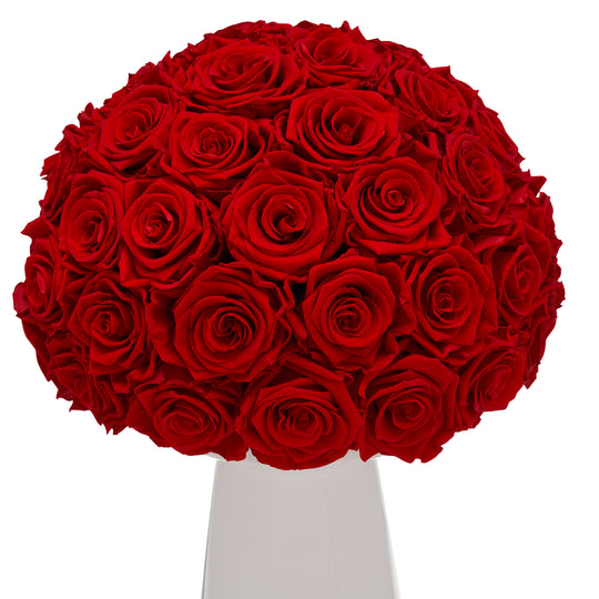 Ivoire Grande Le Luxe Light Red