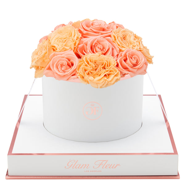 Blanche Round Van Gogh Peach and Coral