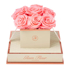 Montagé Chic Light Pink