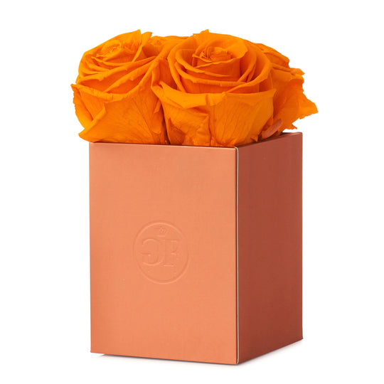 Montagé Petite Orange