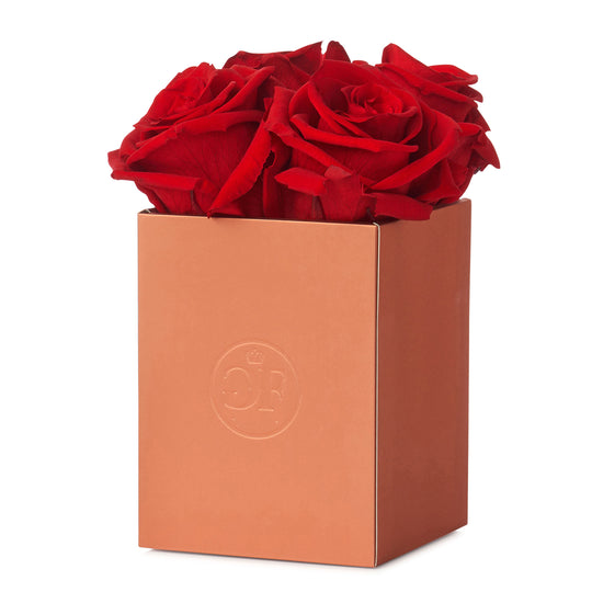 Montagé Petite Light Red