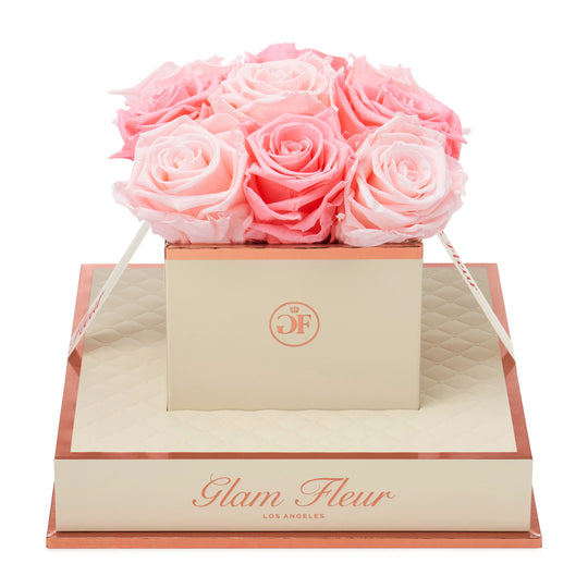 Montagé Chic Baby Pink and Light Pink