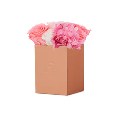 Montagé Petite Pink Ivory Fusion Preserved Flowers