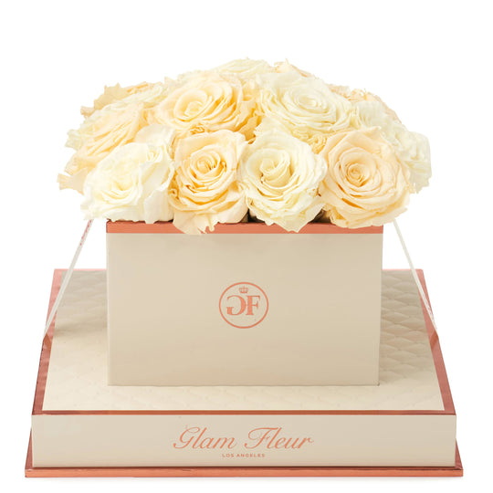 Montagé Square Ivory and Creme