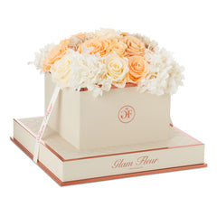 Montagé Square Peach Creme Fusion Preserved Flowers