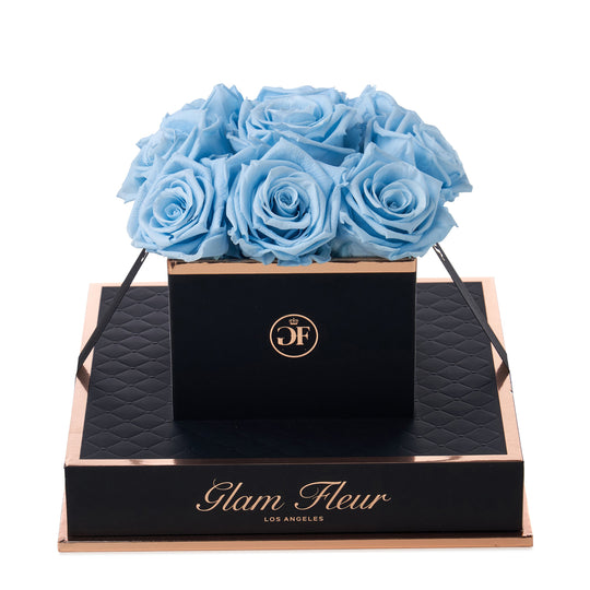 Noir Chic Baby Blue