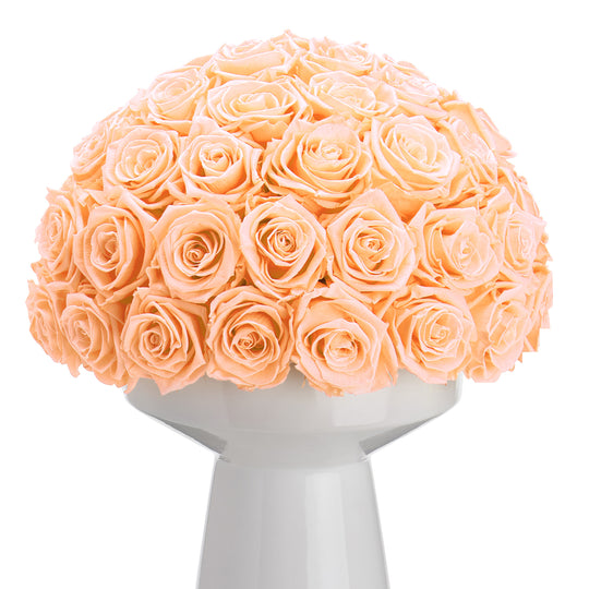 Ivoire Grande Le Luxe Peach