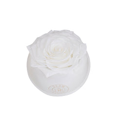 Bouton Vase Single White