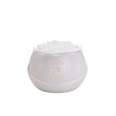 Bouton Vase Single White