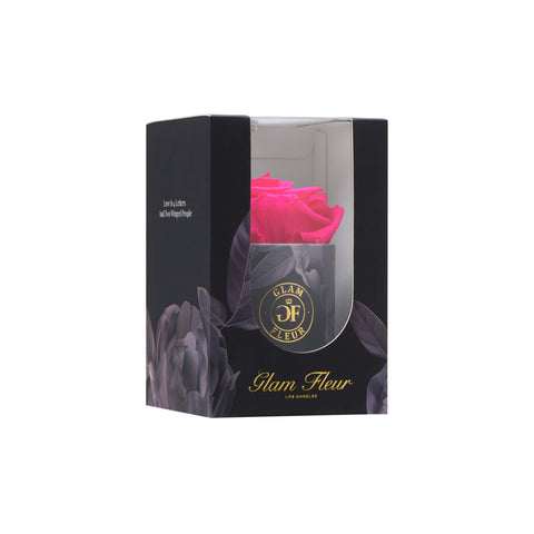 Noir Uno Fuchsia
