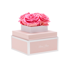 Rosé Petite Pretty in Pink