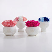 Bouton Vase Glow Pink