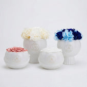 Bouton Vase Single Blush
