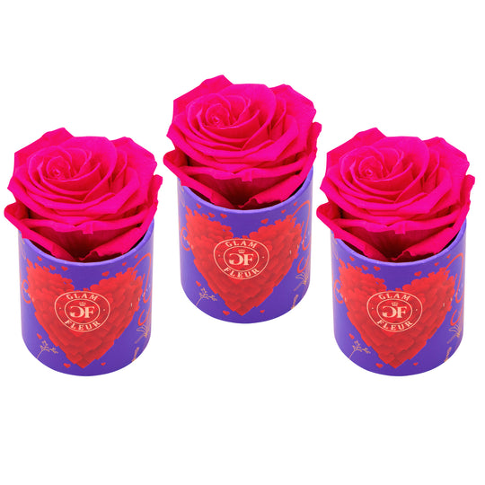 Uno Amore Fuchsia Bundle
