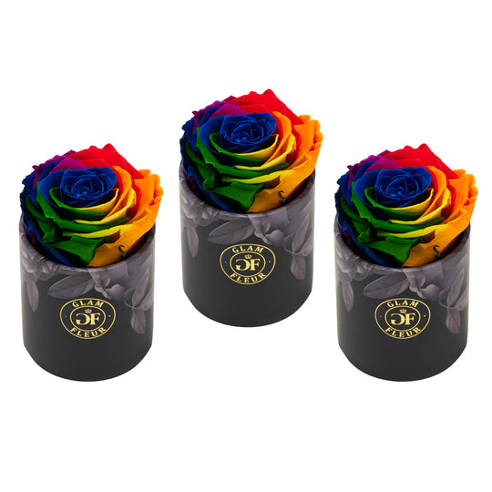 Uno Noir Rainbow Bundle