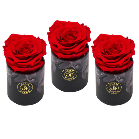 Uno Noir Red Bundle