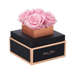 Noir Petite Glow Pink Luxury Preserved Roses
