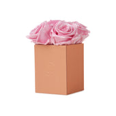 Noir Petite Glow Pink Luxury Preserved Roses