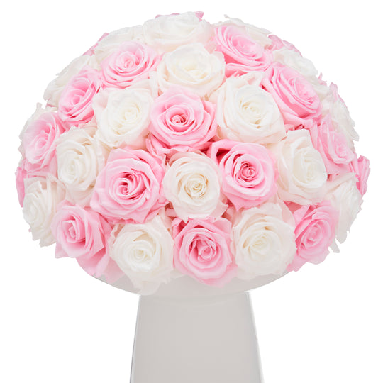 Ivoire Grande Le Luxe Light Pink and Ivory