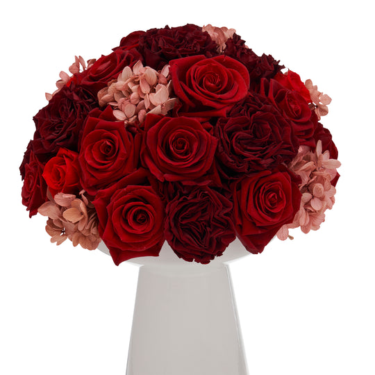 Ivoire Chic Le Luxe Dragon Fly