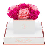 Blanche Chic Fuchsia and Light Pink Preserved Roses