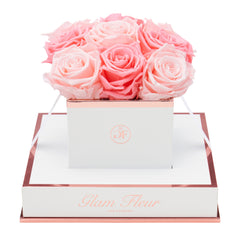 Blanche Chic Baby Pink and Light Pink Preserved Roses