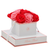 Blanche Chic Light Pink and Light Red Preserved Roses