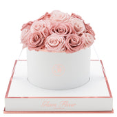 Blanche Round Classic Pink and Blush Preserved Roses