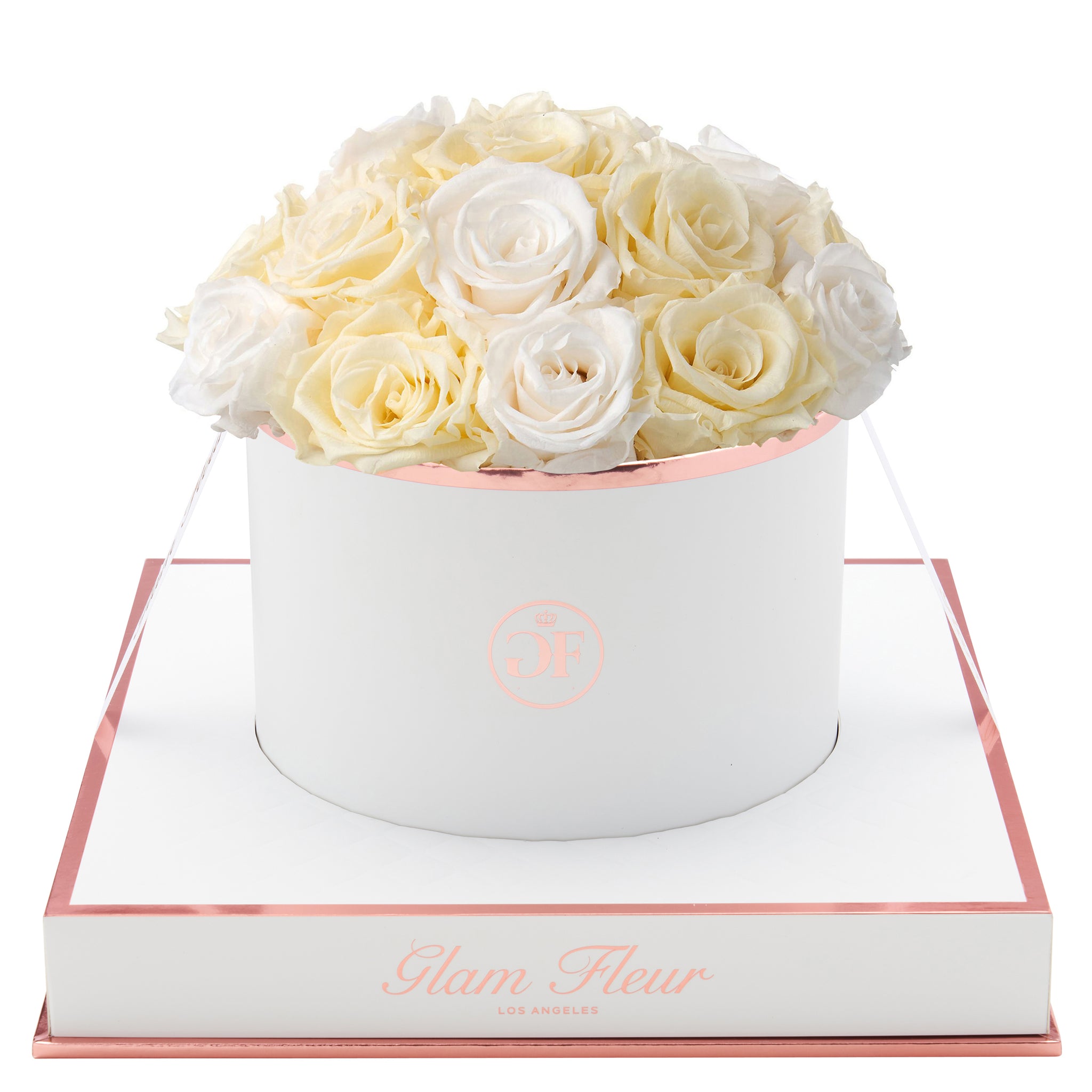 Ivory and Creme Long Lasting Preserved Roses Glam Fleur