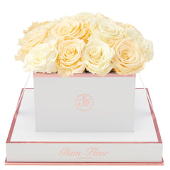 Blanche Square Ivory and Creme Preserved Roses