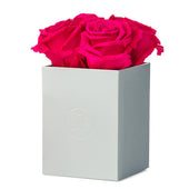 Rosé Petite Fuchsia