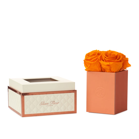 Montagé Petite Orange