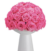 Ivoire Chic Le Luxe Glow Pink
