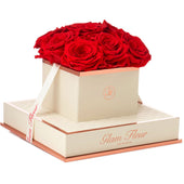 Montagé Chic Light Red Preserved Roses