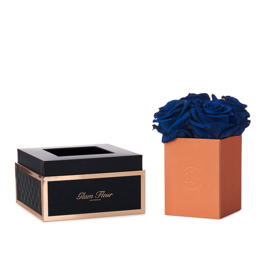 Noir Petite Blue Ocean