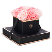 Noir Chic Baby Pink and Light Pink Preserved Roses