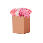 Noir Petite Pink Ivory Fusion Preserved Flowers