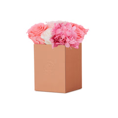 Noir Petite Pink Ivory Fusion Preserved Flowers