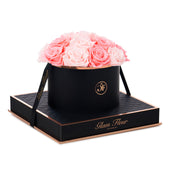 Noir Round Baby Pink and Light Pink Preserved Roses