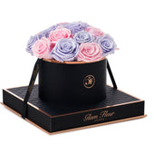 Noir Round Glow Pink and Glow Lavender Preserved Roses