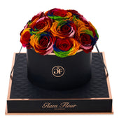 Noir Round Rainbow Preserved Roses