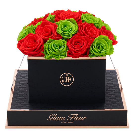 Noir Square Light Red and Green