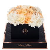 Noir Square Peach Creme Fusion Preserved Flowers