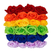 Noir Square Rainbow Ombre Preserved Roses
