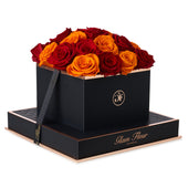 Noir Square Red and Orange Preserved Roses